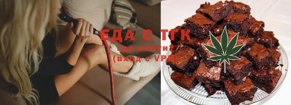 индика Козельск