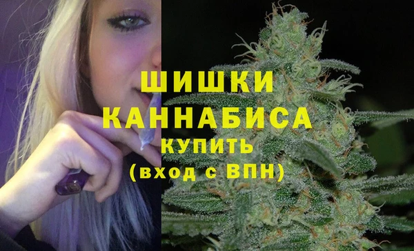 гидра Коряжма