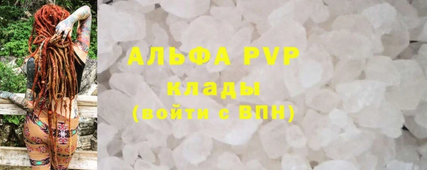 гидра Коряжма