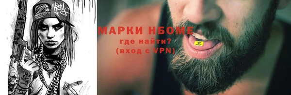 индика Козельск