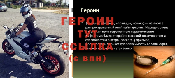 индика Козельск