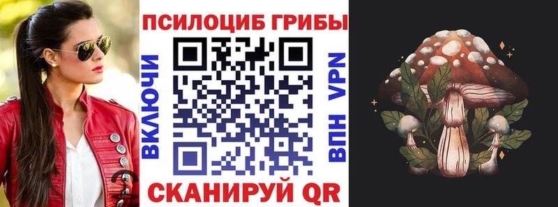 MEGA ТОР  Пермь  Псилоцибиновые грибы Psilocybine cubensis 