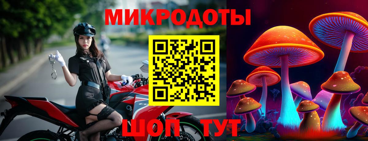 Галлюциногенные грибы Psilocybe Пермь