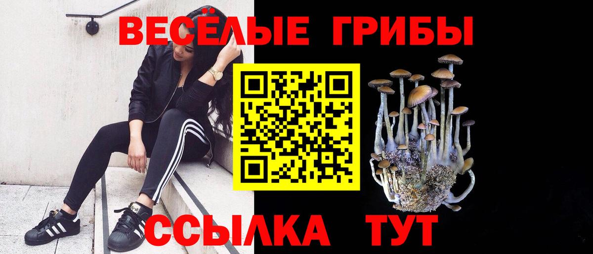Псилоцибиновые грибы Psilocybe  Вход с VPN  Пермь 