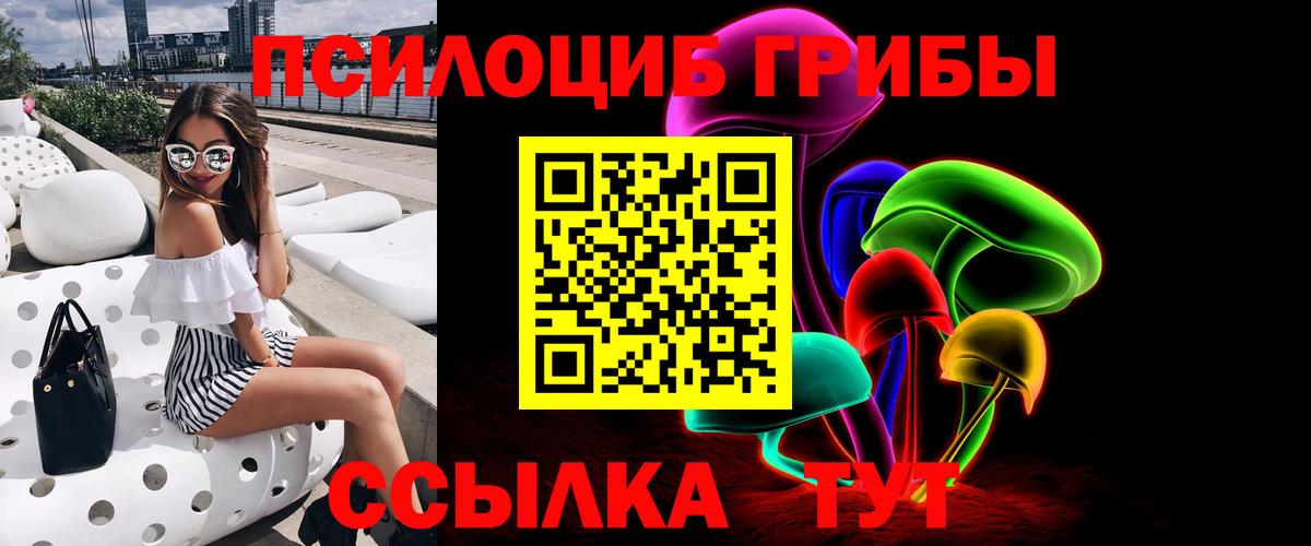 Псилоцибиновые грибы прущие грибы  Пермь  Псилоцибиновые грибы MAGIC MUSHROOMS 